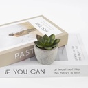 CAMAS - Artificial Succulent Plant in Pulp Pot
